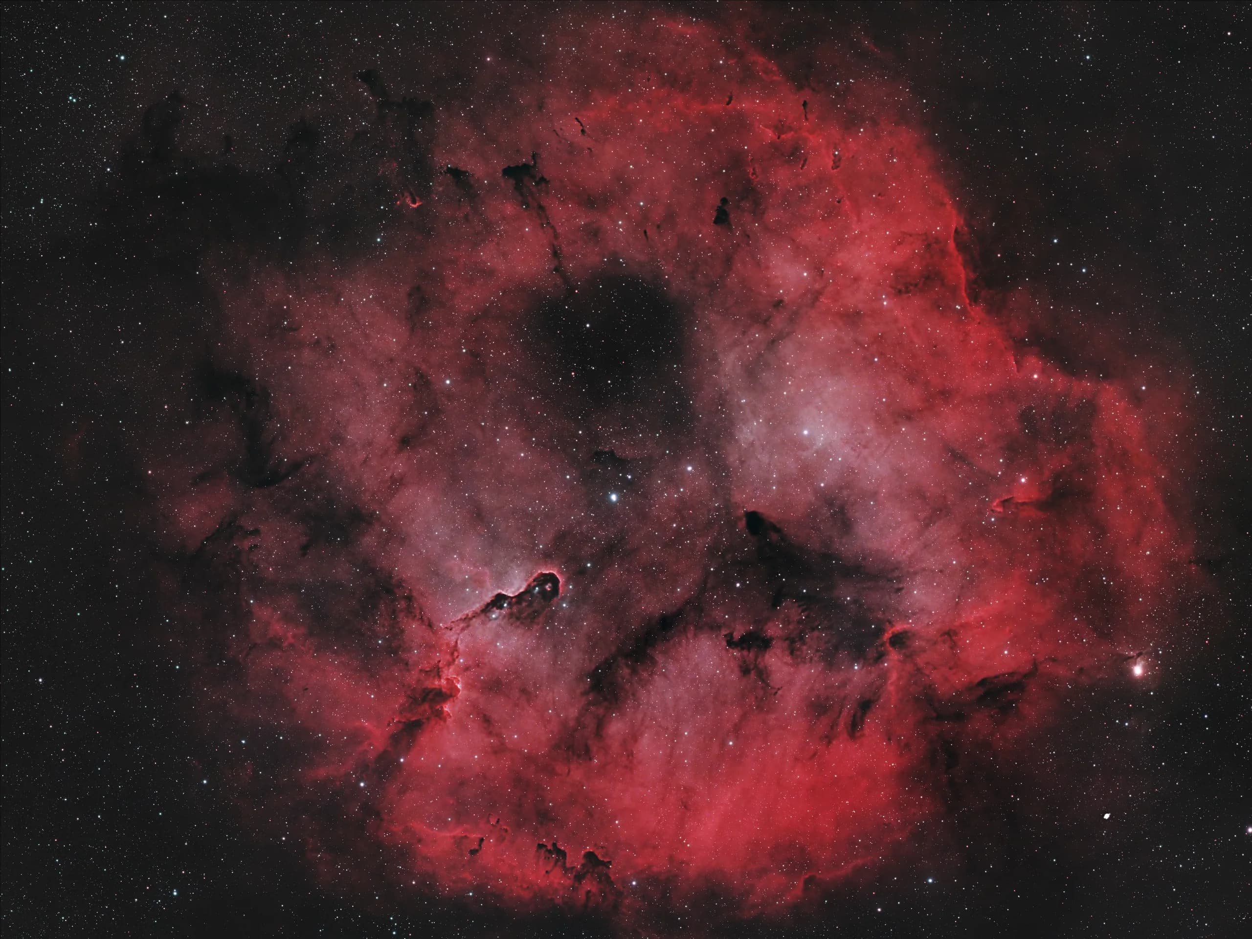 IC 1396 Elephant Trunk Nebula astrophotography image by NightSkyLens