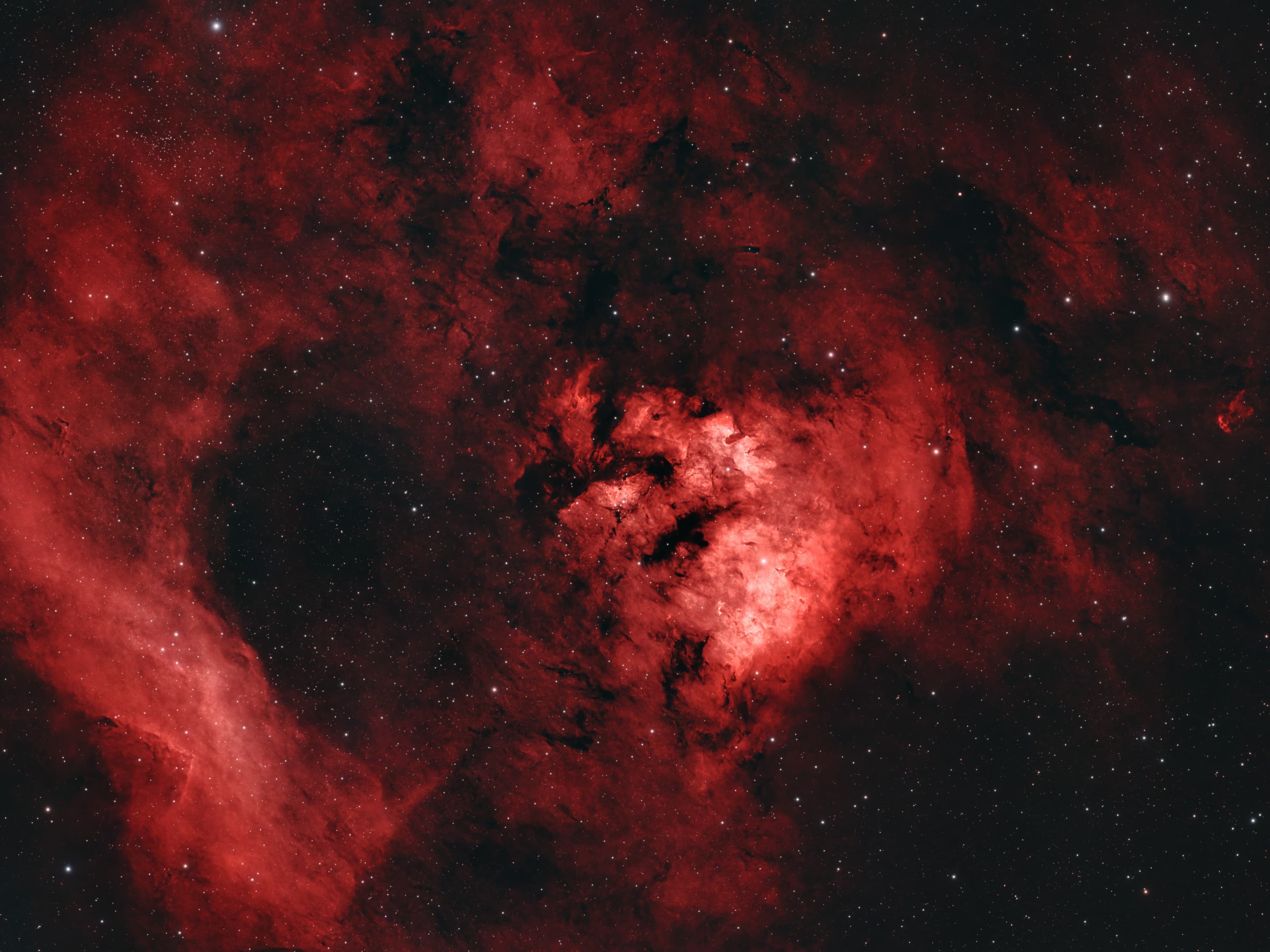 Teddy Bear Nebula