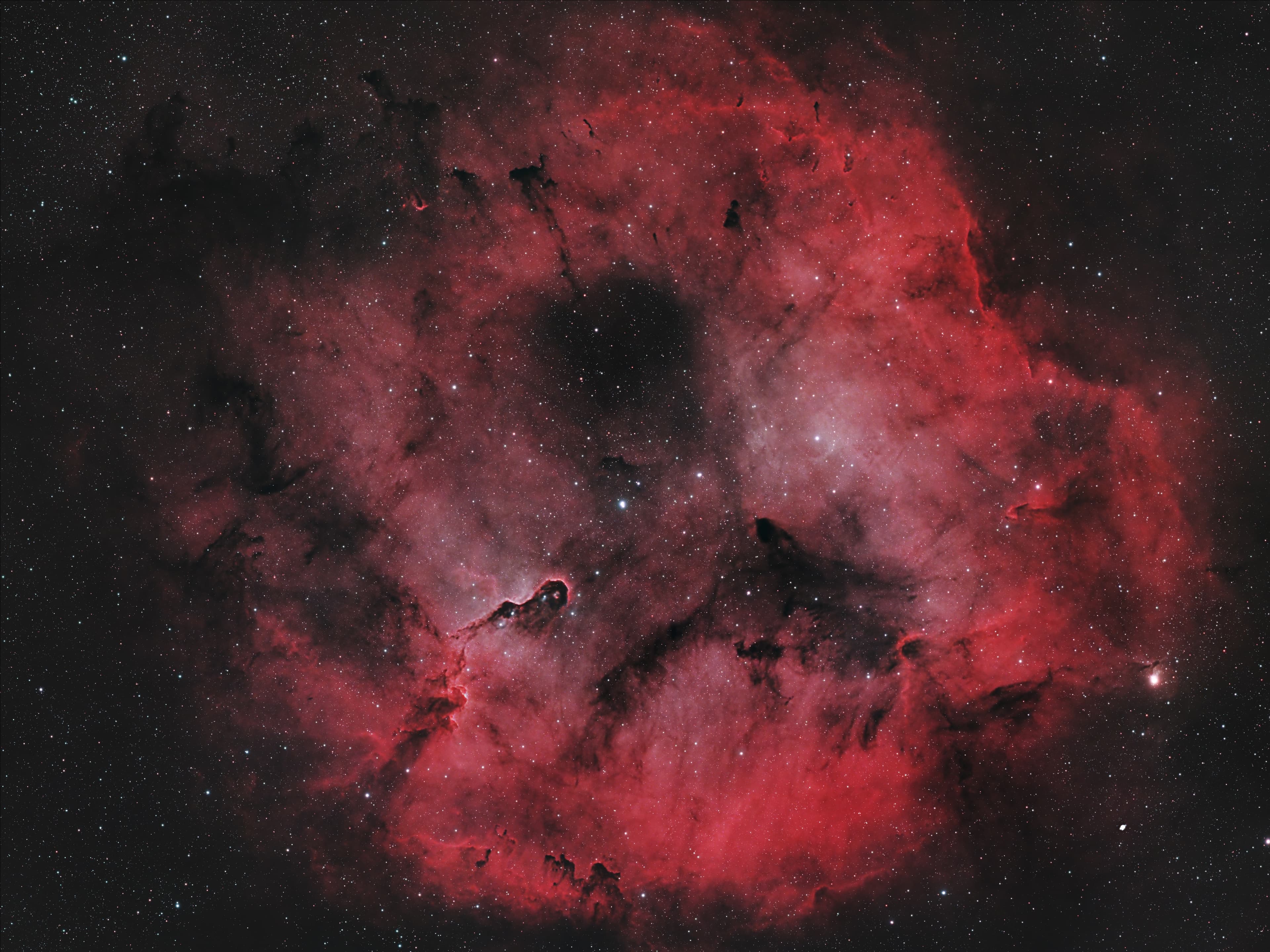 Elephant Trunk Nebula