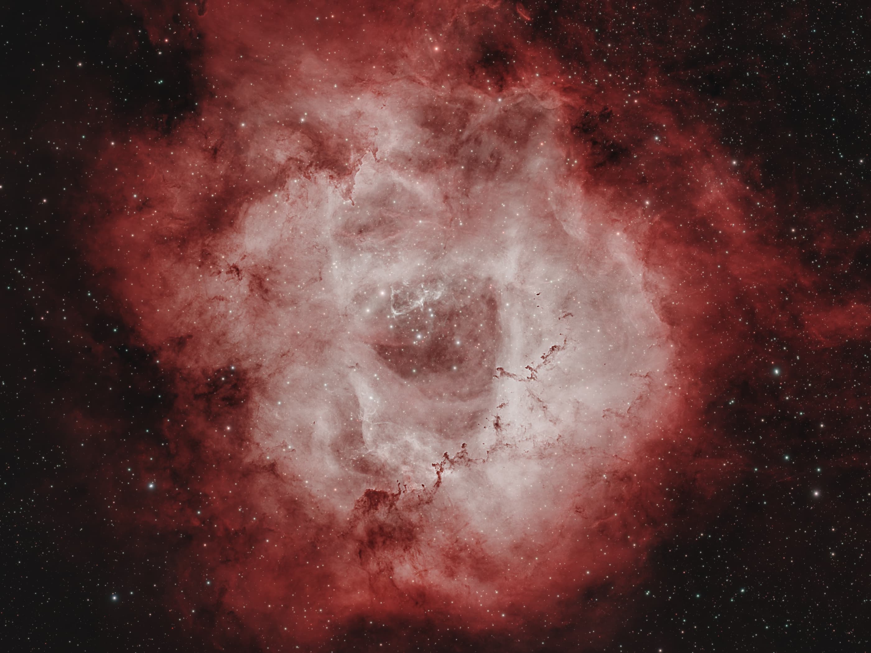 Rosette Nebula
