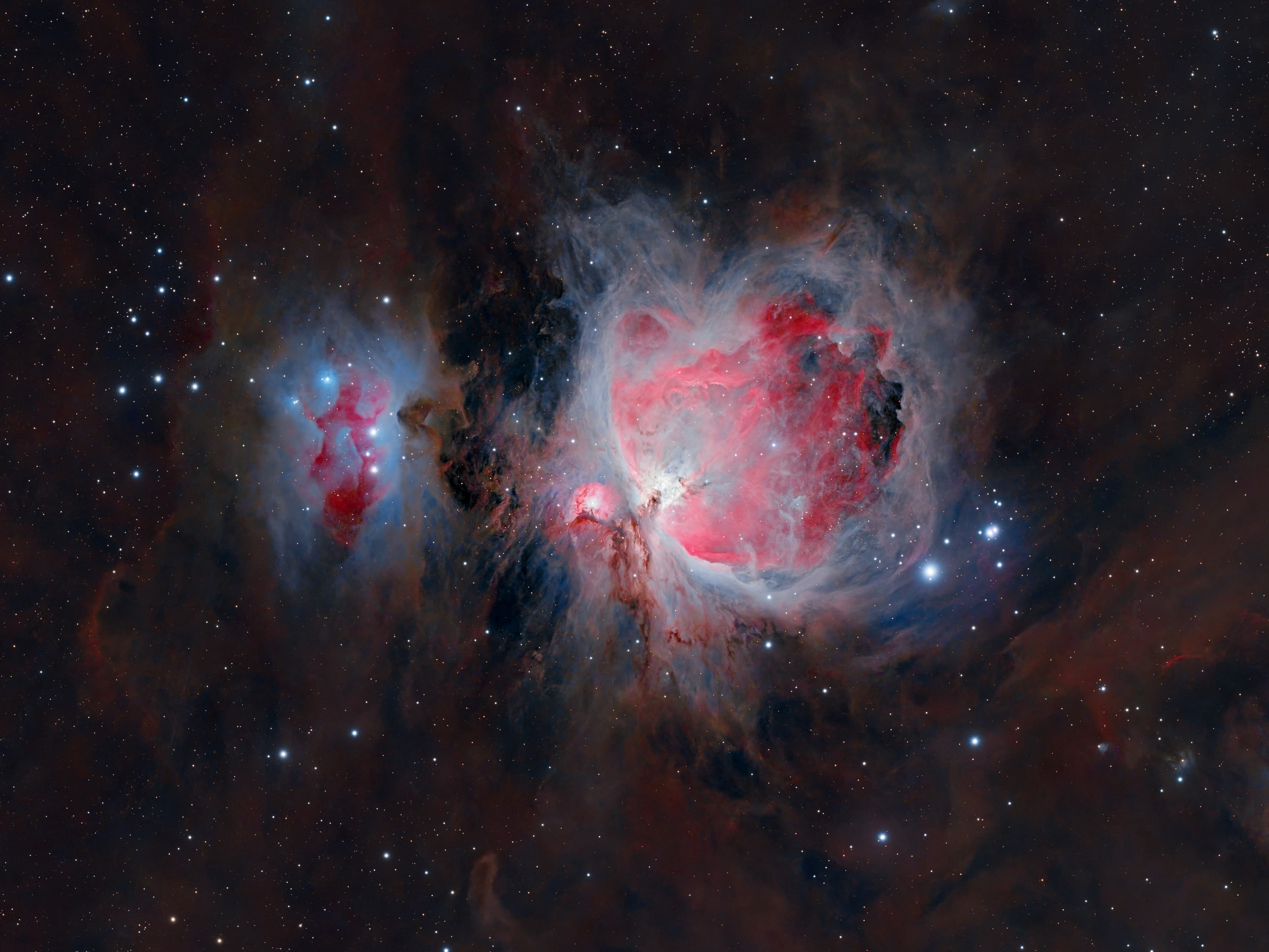 Orion Nebula
