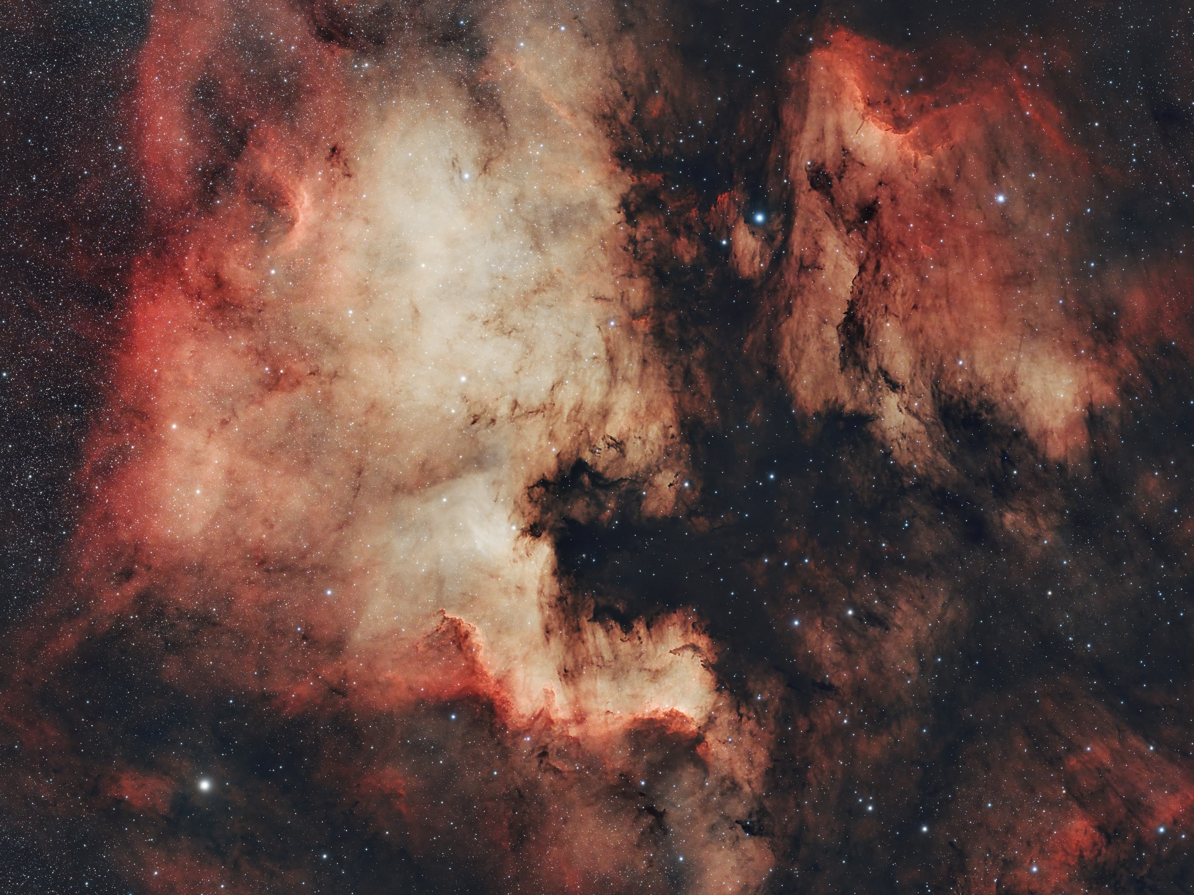 Large HII region in Cygnus